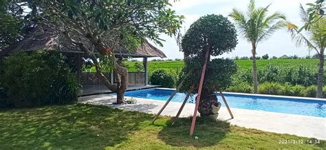 Dijual Villa Di Canggu Villa Di Pererenan Villa View Sawah Luas