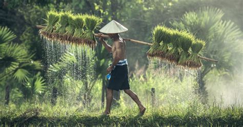 Coisas Bizarras Que Provavelmente S Existem Na China Curiosidades