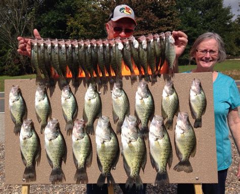 Four Hours Of Crappie Snatching Fishing Trip Ecotourism Tours