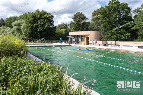 Cantonal Swimming Pool With Its Organic And Ecological Swimming Pool