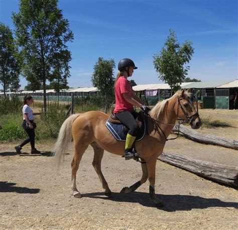 La Cavalerie Centre équestre Lille