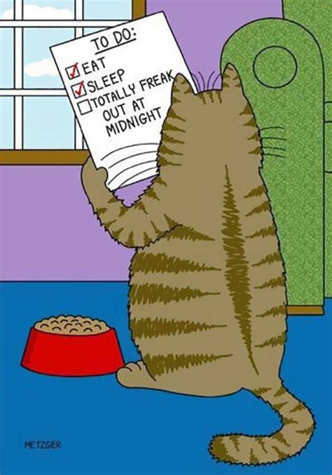 Funny Cat Cartoons | Fun