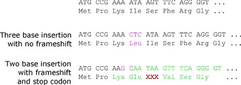 Part I Types Of Mutations Chromosomes Genes And Traits An