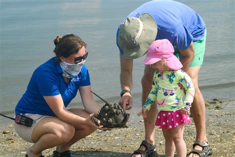 Marine Exploration Programs Ecology And Marine Science Youth Programs