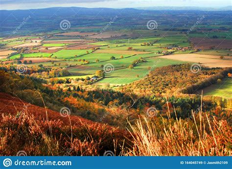 View Of Autumn Landscape With Trees Fields And Distant Mountains And