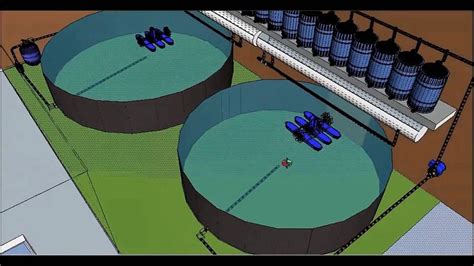 Projeto De Piscicultura Urbana Sistema De Recircula O Em