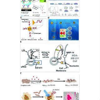 (PDF) Aptamer-conjugated gold nanoparticles and their diagnostic and ... 