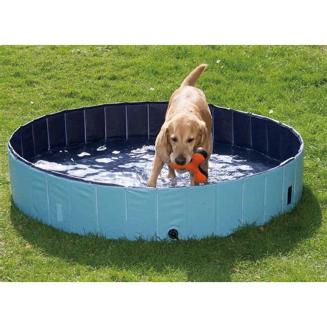 Buy Pawise Dog Swimming Pool Without Cover Online | Better Prices At ...