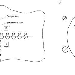 Plotlevel Abundance Of Different Life Stages Of The Gypsy Moth And