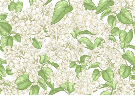 Lilac Bush Seamless Stock Illustrations Lilac Bush Seamless Stock