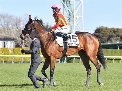 【デイジー賞】エフフォーリアの半妹イゾラフェリーチェが連勝なるか 競馬ニュース Netkeiba