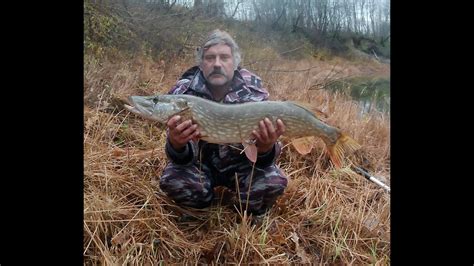 Осень 2023 (12) - р. Днепр (эпизод 3 - интересная рыбёшка!) - YouTube