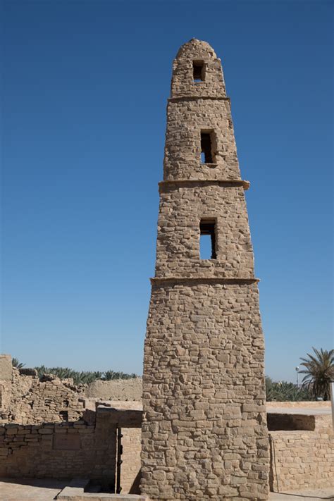 Birds of Saudi Arabia: The Umar bin al-Khattab Mosque