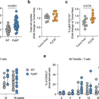 Hscslt Of Tumor Bearing Mice Are Myeloid Primed A Frequency And Cell