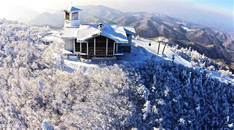 Pyeongchang Alpensia Or Yongpyong Ski Resort Shuttle Bus Transfers From