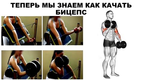ТЕПЕРЬ МЫ ЗНАЕМ КАК КАЧАТЬ БИЦЕПС - YouTube