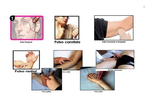 Mapas Conceptuales Signos Vitales Taller Ppt