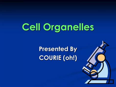 Ppt Cell Organelles Powerpoint Presentation Free Download Id1797613