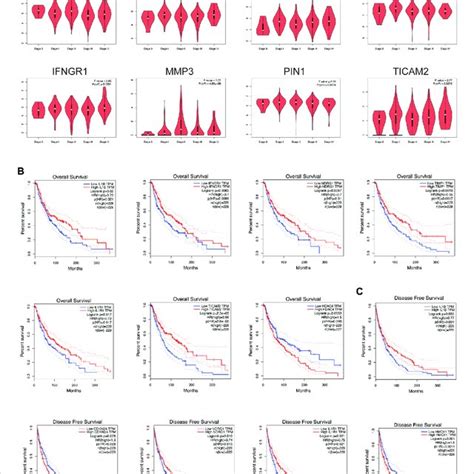 Tumor Pathological Stage And Multifaceted Prognostic Value Of