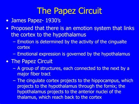 PPT - Emotion PowerPoint Presentation, free download - ID:3771879 