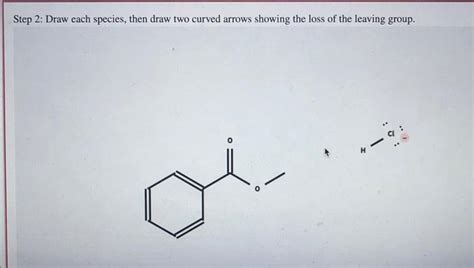 Solved Examination Of The Fischer Esterification Mechanism Chegg