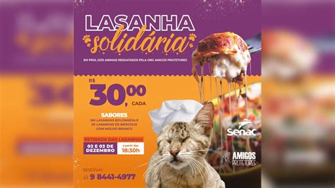 Ong Amigos Protetores Realiza Lasanha Solidária Em Prol De Animais