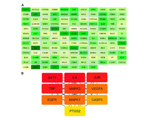 Ppi Network Of Potential Target Genes And Top Hub Genes For Gusuibu