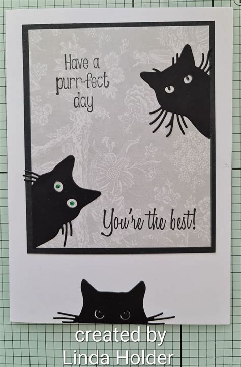 Pin On Cards Cat Cards Handmade Cat Birthday Card Crazy Cats Cards