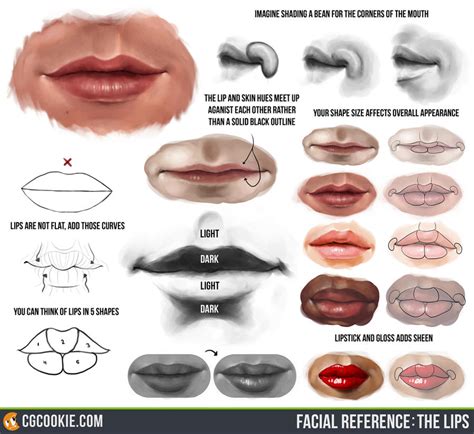 Facial Reference The Lips By Cgcookie On Deviantart