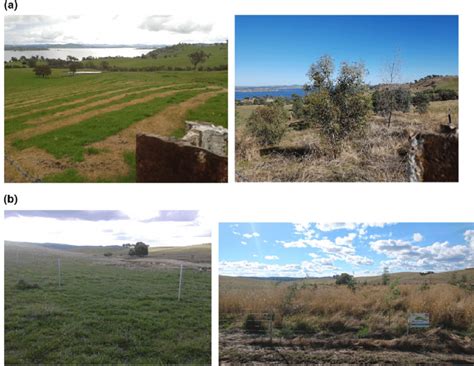 Before And After Photographs Of Bushlink Restoration And Revegetation