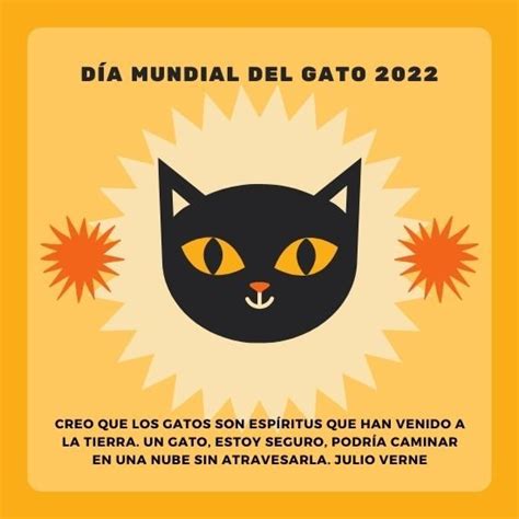 Feliz Día Del Gato 2022 Imágenes Con Frases Cortas Y Bonitas Para Compartir 🐱 Unión Guanajuato