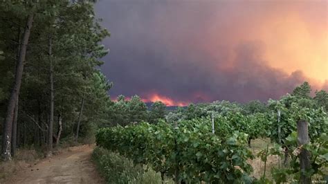 Verheerende Waldbr Nde In Portugal Dw