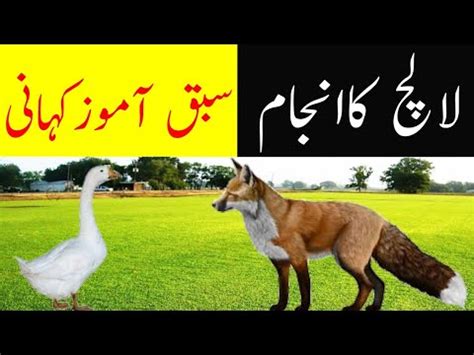 Urdu Moral Story Lalach Ka Anjam Stories In Urdu Fairy Tales In