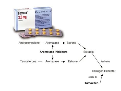 Letrozole for Ovulation Induction: How It Works, Why We Use It