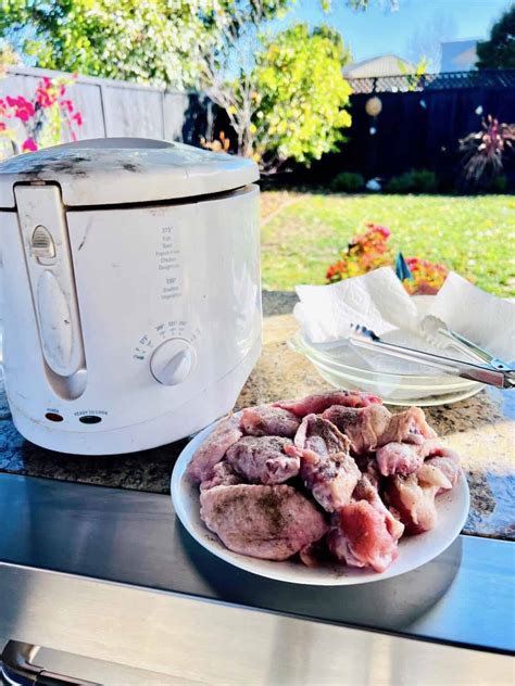 Best Deep Fryer for Chicken Wings - The Short Order Cook