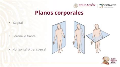 Planos Corporales Y Ejes Y Acciones Motrices Conade Pptx