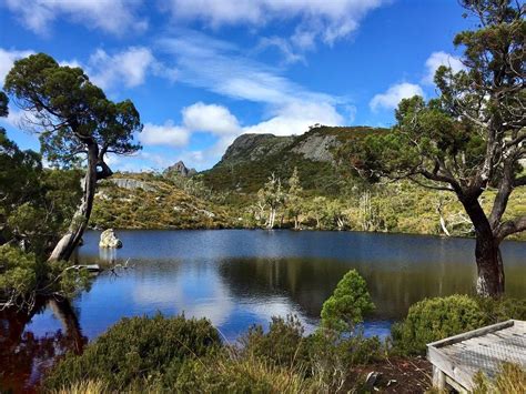 Parc National De Cradle Mountain Lake St Clair Tape Incontournable De