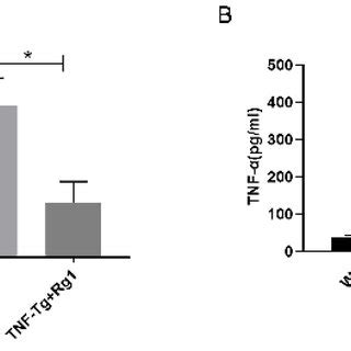 Effect of ginsenoside Rg1 on serum levels of TNF α and IL 6 A B