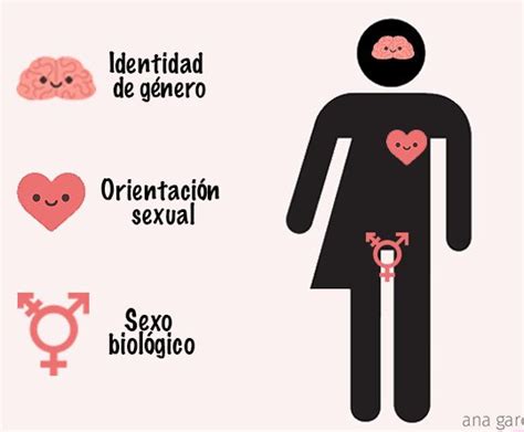 Las diferencias entre hombres y mujeres características físicas y