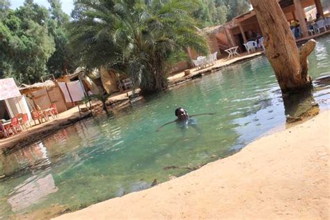 From Djerba Full Day Ksar Ghilane Hot Spring And Villages GetYourGuide