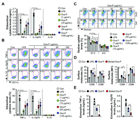 Analysis Of Cytokine Profiles Antigen Uptake Ability And Surface