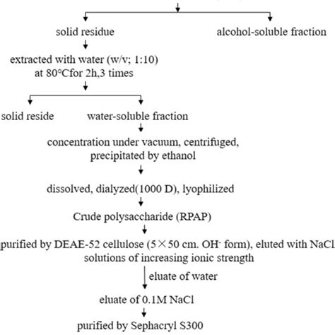 Extraction And Purification Scheme Of The Polysaccharide Rpaps From Download Scientific Diagram