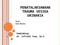 Pptx Ppt Penatalaksanaan Trauma Vesika Urinaria Dokumen Tips