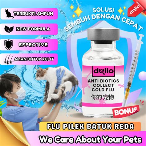 Jual Obat Kucing Untuk Flu Dan Demam Batuk Pilek Solusi Terbaik Untuk