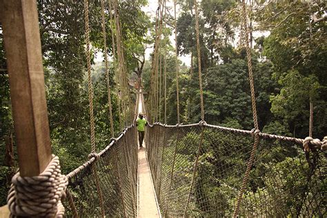 Canopy Walkway Kakum National Park Ghana Inyathi Flickr