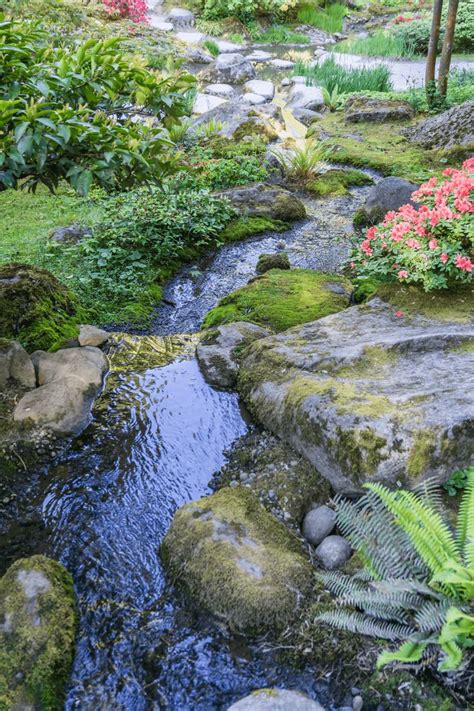 22 Innovative Backyard Stream Ideas With Pictures In 2024 Backyard