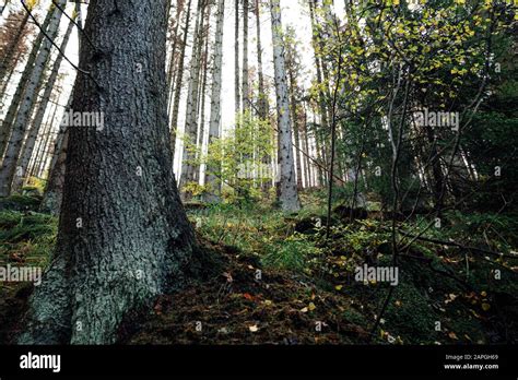 Gigantische Farbe Fotos Und Bildmaterial In Hoher Aufl Sung Alamy