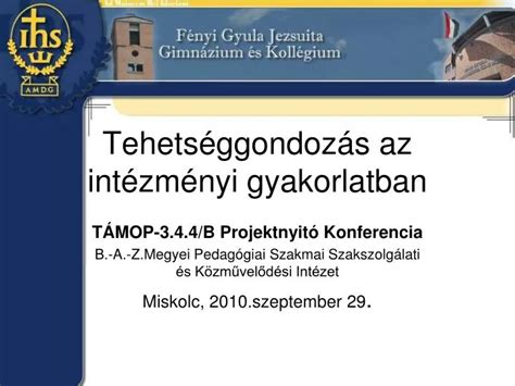 Ppt Tehets Ggondoz S Az Int Zm Nyi Gyakorlatban Powerpoint