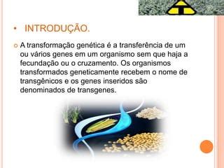 Como É Formado A Palavra Transgênico - Organismos transgênico. | PDF