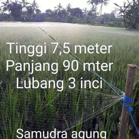 Jual Good6n1Mb Jaring Burung Jaring Padi Jaring Sawah Lubang 3 Inci